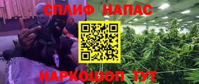 прущие грибы Пугачёв
